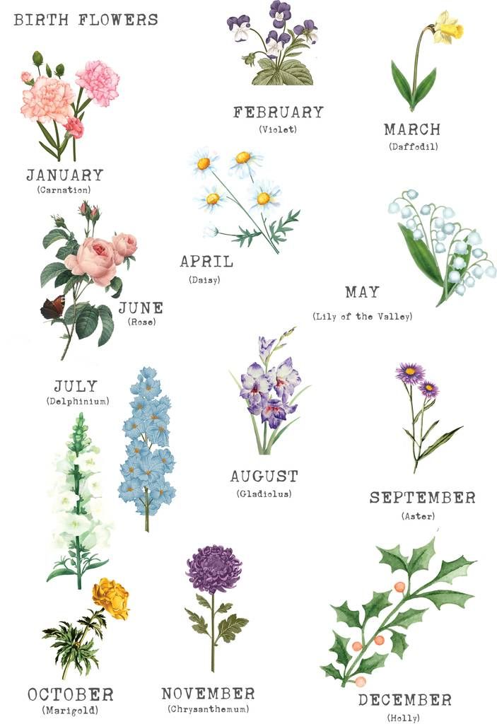 Discover 9 Birth Month Flowers and Birth Flower Tattoos Ideas | flower  meanings, flower bouquet tattoo, language of flowers and more