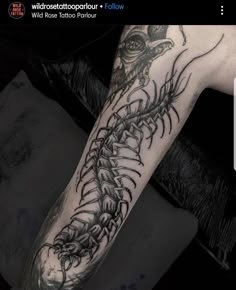 Discover 18 Centipede Woman Tattoo and Creepy Tattoos Ideas | insect tattoo,  cool centipede tattoo, scary tattoos and more