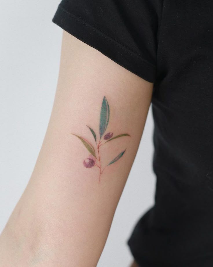 40+ Best Olive Branch Tattoo Designs. Ancient And Modern Meanings
