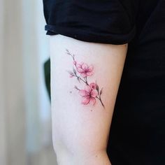 480 Cherry Blossom Tattoos and blossom tattoo ideas to save today | tattoos,  cherry blossom tattoo, flower tattoos and more