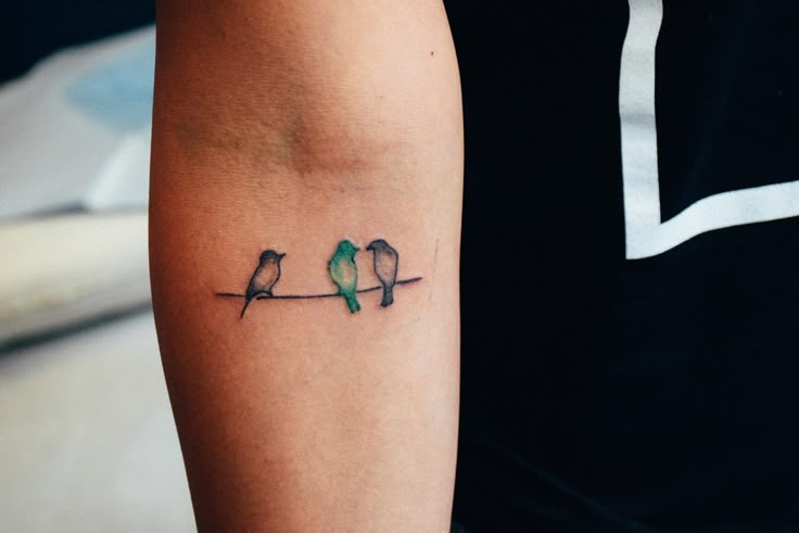 Three little birds done by Alan // #blacklinestudio . . . . #birds # birdtattoo…