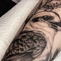 20 Kookaburra tattoo ideas | australian tattoo, birds tattoo, tattoos