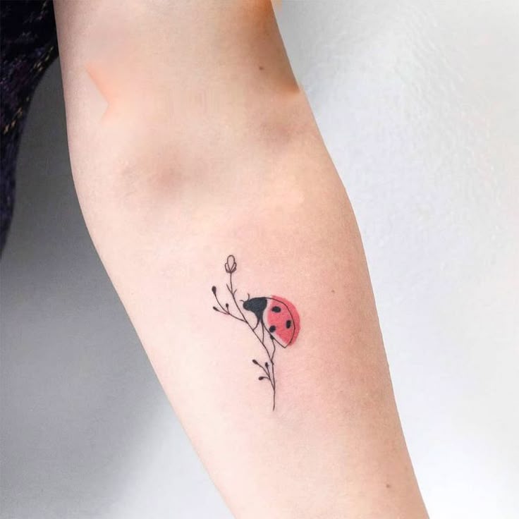 Ladybug tattoo