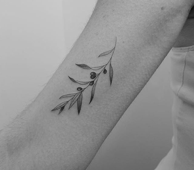 Discover 150 Tattoo and Anker Tattoo Ideas | olive tree tattoos, catan board, saggitarius tattoo constellation and more