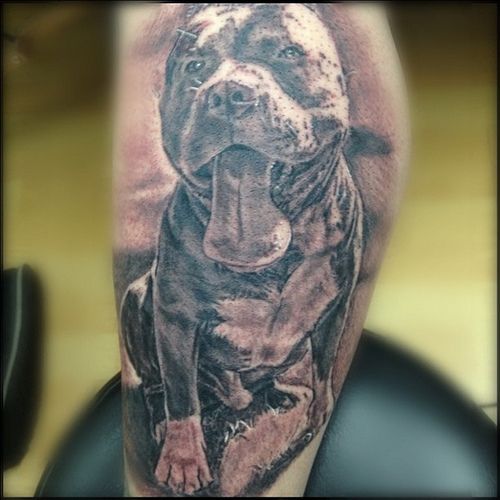 The 20 Coolest Pit Bull Tattoo Designs In The World