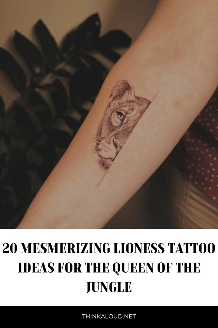 20 Mesmerizing Lioness Tattoo Ideas For The Queen Of The Jungle