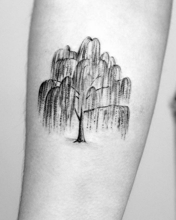Angel Oak Tree Tattoo
