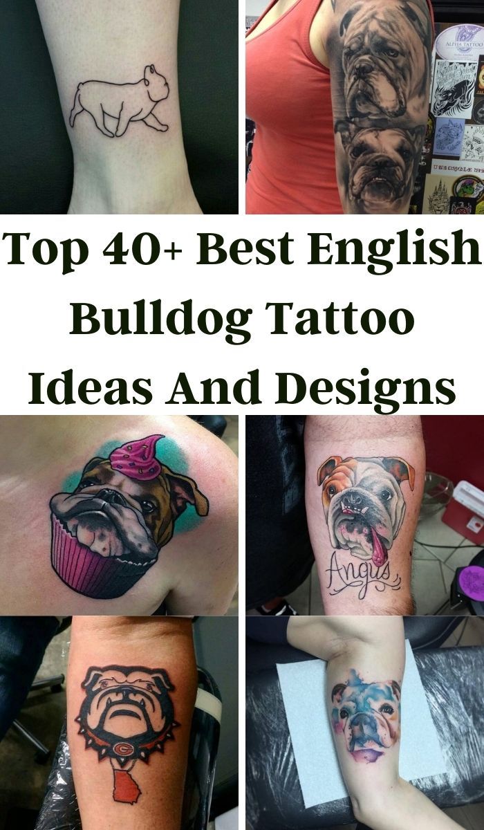 Top 40+ Best English Bulldog Tattoo Ideas And Designs - The Paws