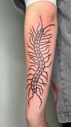 Discover 30 Centipede Tattoo Ideas and Insect Tattoo Ideas | centipede  drawing, bug tattoo, millipede tattoo and more
