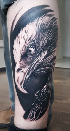 Discover 130 Fly Eagles Fly and Philadelphia Eagles Wallpaper Ideas | philadelphia eagles fans, eagle drawing, eagle tattoos and more