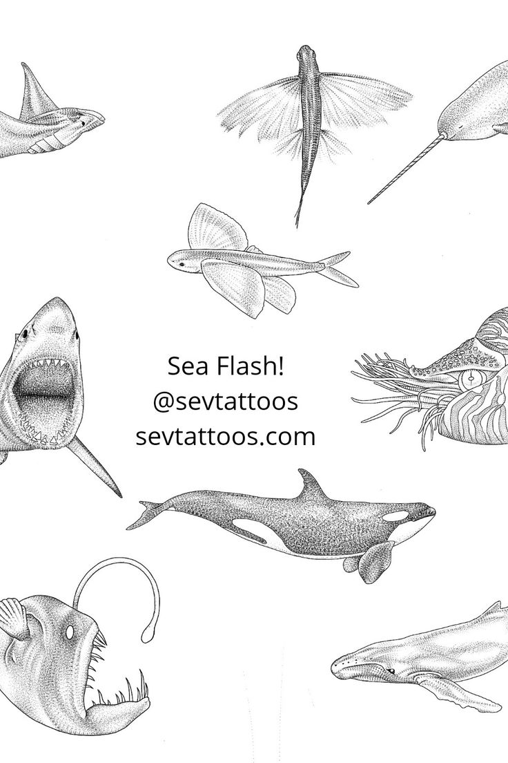 Tattoo Designs for Ocean Lovers!