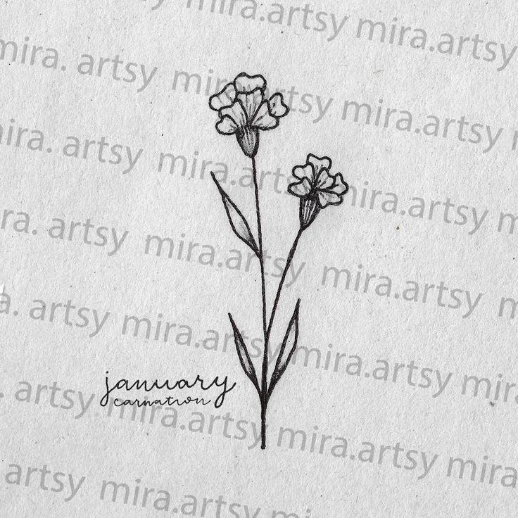 January Birth Month Flower Pack Scan (carnation and Snowdrop) - DIGITAL  DOWNLOAD for Tattoo Design or Wallpaper - Etsy Australia