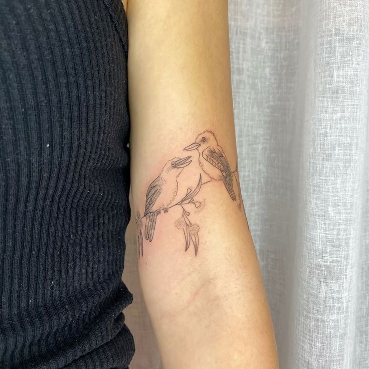kookaburra fineline tattoo 🦅 🖋️