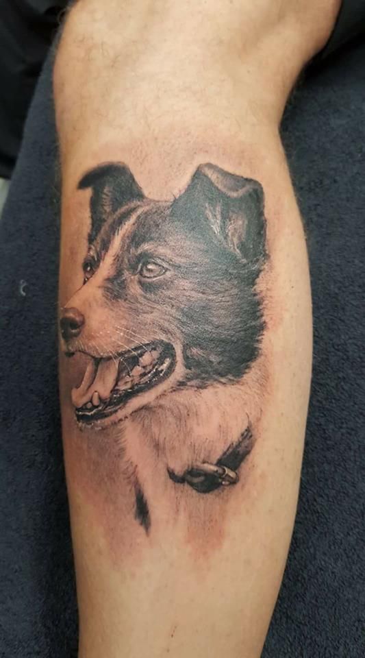 45+ Amazing Dog Tattoos For Border Collie Lovers - The Paws