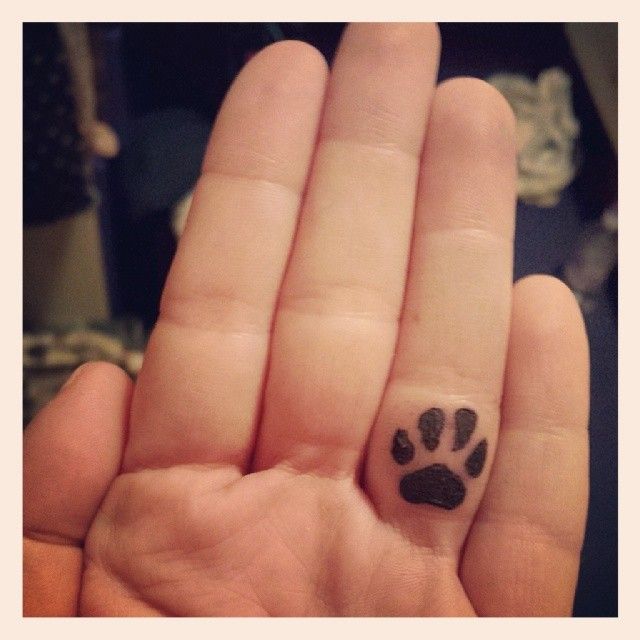 8 paw print tattoos designs, more at http://tattoo-swag.