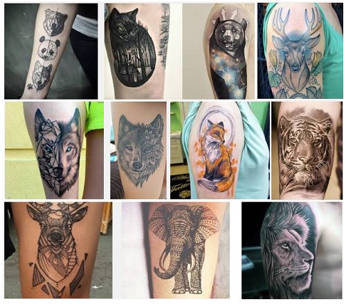 15+ Best Ever Animal Tattoo Designs and Their Meanings!