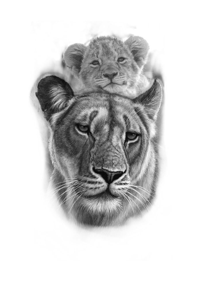 230+ Lioness Tattoo Ideas and Designs (2024)