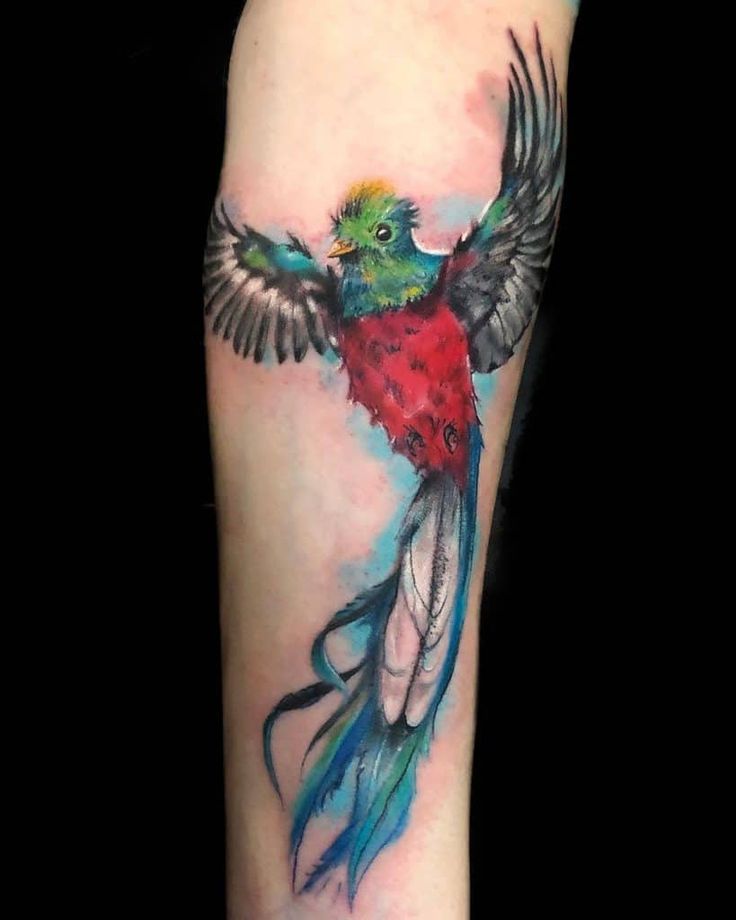80 Intriguing Quetzal Tattoo Ideas | Quetzal tattoo, Tattoos, Body art tattoos