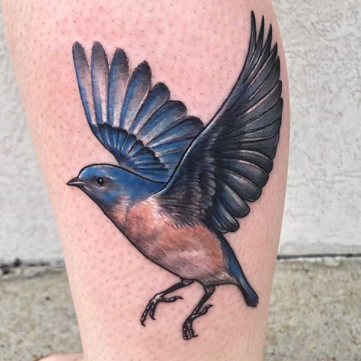 Bluebird Tattoo Ideas Celebrating Freedom and Joy