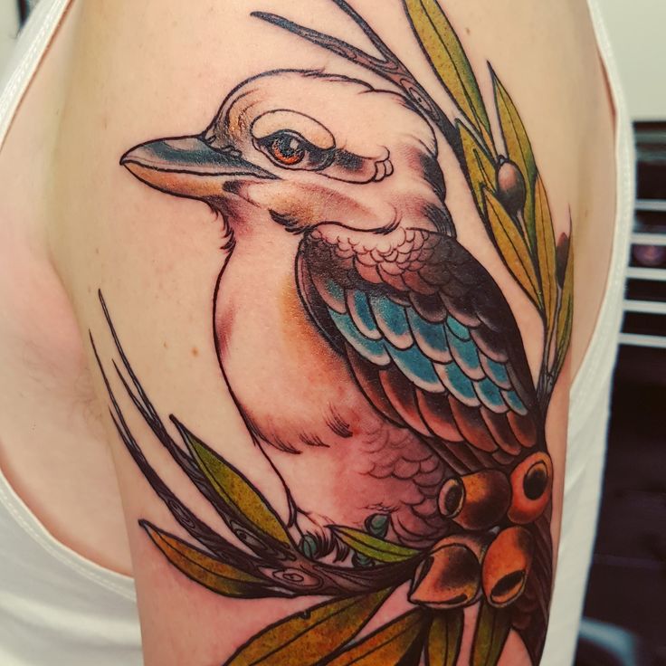 Neotraditional Kookaburra done by Pat at Stone Heart, Sydney, Australia