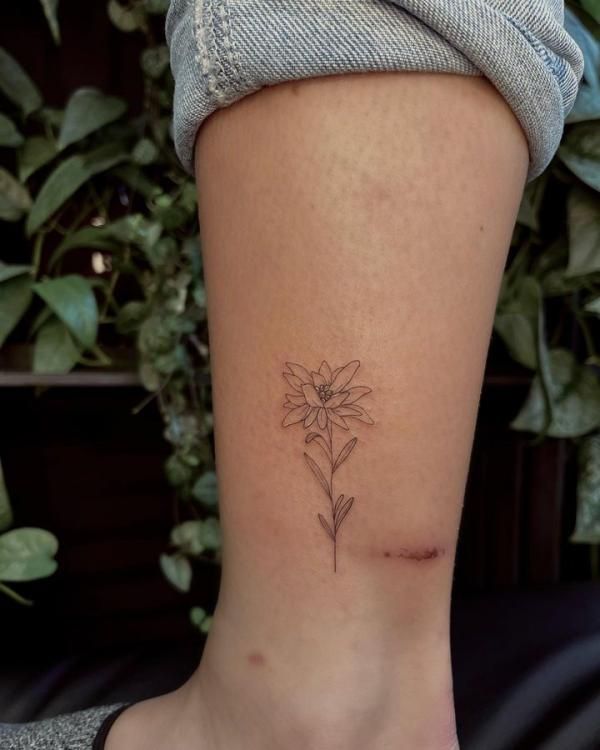 Edelweiss Tattoo: A Symbol of Beauty and Resilience | Art and Design