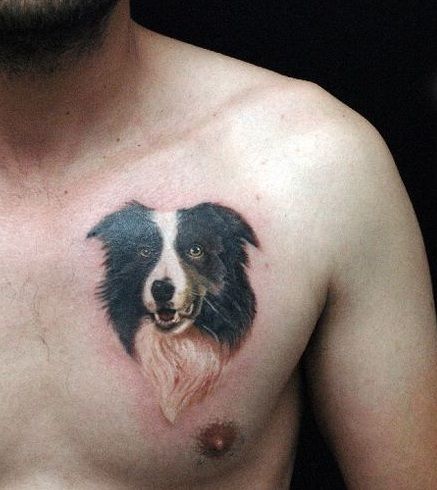 45+ Amazing Dog Tattoos For Border Collie Lovers - The Paws