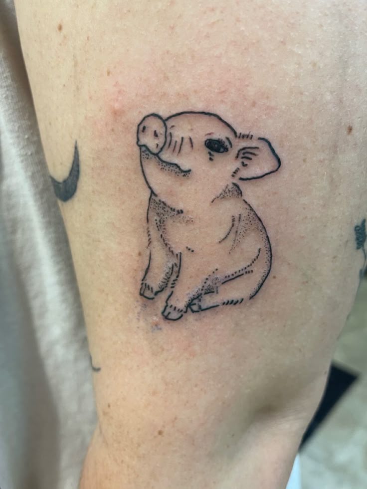 Cute pig tattoo