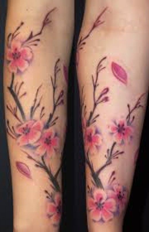 Cherry Blossom Tree Tattoo Designs And Meanings-Cherry Blossom Tree Tattoo  Ideas And Pictures