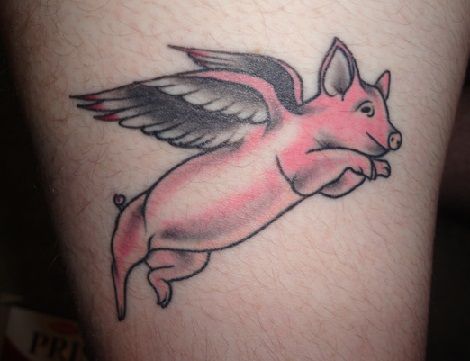 Top 9 Funny & Rough Look Pig Tattoo Designs With Images!