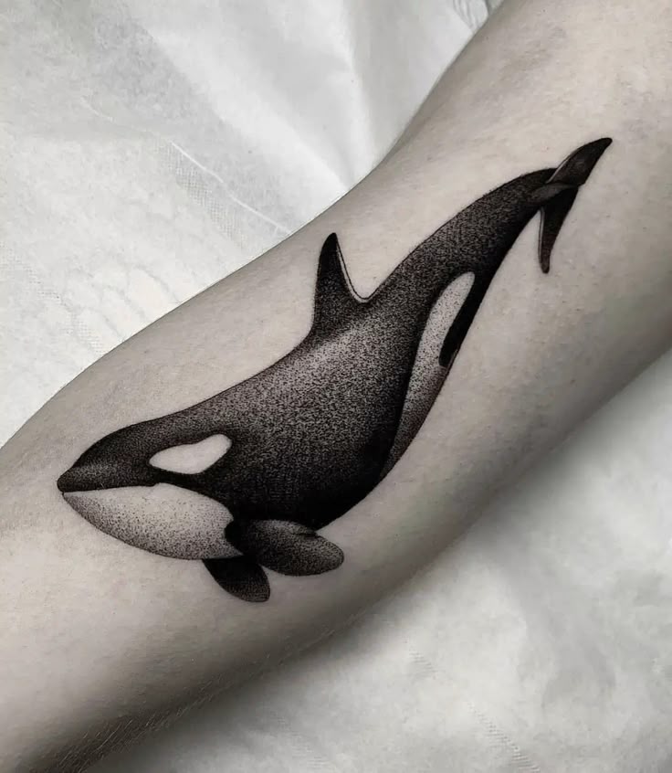 Pin by Anisha Modi on Tattoo Ideas! | Whale tattoos, Killer whale tattoo, Orca tattoo