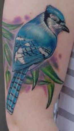 Blue Jay Tattoo Meanings & Designs