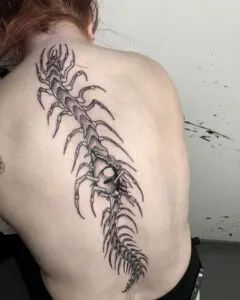 14 New Centipede Tattoos That Can Scare You - Tattoo Twist