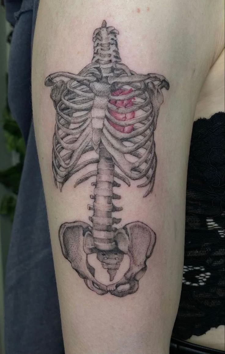 Pin by Larissacruz on Tattoo in 2025 | Ribcage tattoo, Anatomical tattoos,  Anatomy tattoo
