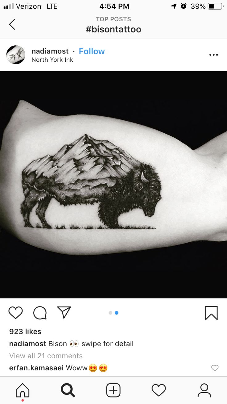 Pin by Kelli Quintero on bison | Buffalo tattoo, Head tattoos, Bison tattoo