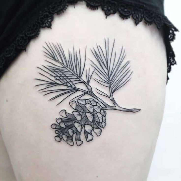 30 Pine Cone Tattoo Designs To Celebrate Beauty of Nature | Page 2 of 3 |  TattooAdore