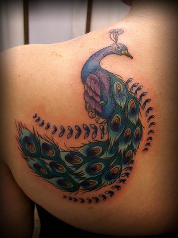 Beautiful full color peacock shoulder blade female tattoo