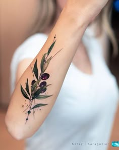 Discover 40 Olive Branch Tattoo and Olive Tattoo Ideas | branch tattoo, olive tree tattoos, forearm olive branch tattoo and more