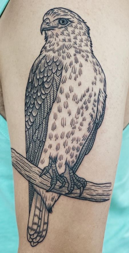 100 Majestic Hawk Tattoos That Exude Strength and Courage! - Tattoo Me Now