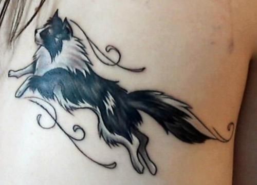 45+ Amazing Dog Tattoos For Border Collie Lovers - The Paws