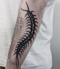 Discover 30 Centipede Tattoo Ideas and Insect Tattoo Ideas | centipede  drawing, bug tattoo, millipede tattoo and more