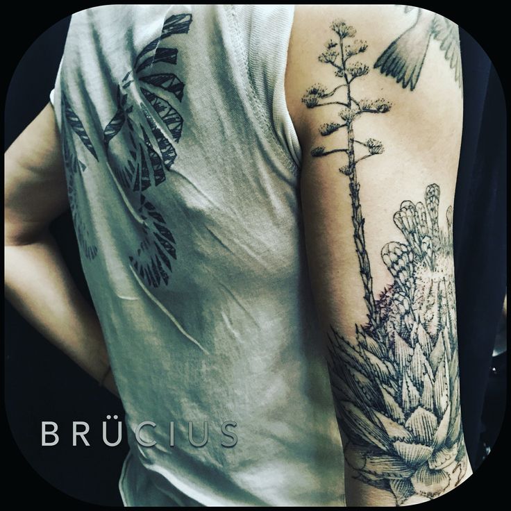 Pin by Rj Vega on Tats | Tattoos, Cactus tattoo, Type tattoo