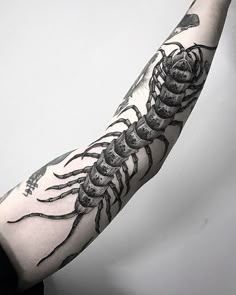 Discover 8 Centipede and Cool Centipede Tattoo Ideas | bug tattoo, insect  tattoo, chinese red centipede and more