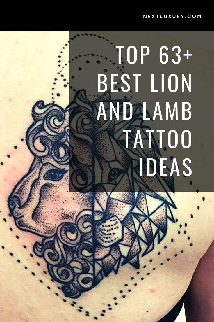 Top 63+ Best Lion and Lamb Tattoo Ideas - [2021 Inspiration Gallery]
