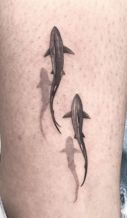 150 Jaw Dropping Shark Tattoos, Ideas & Meanings - Tattoo Me Now | Shark  tattoos, Small shark tattoo, Small tattoos for guys