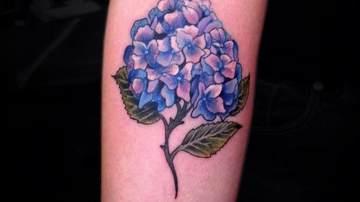 hydrangea tattoo