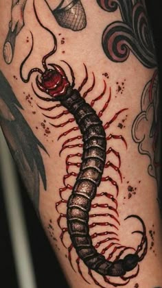 28 Centipede tattoo ideas in 2025 | centipede, insect tattoo, body art  tattoos