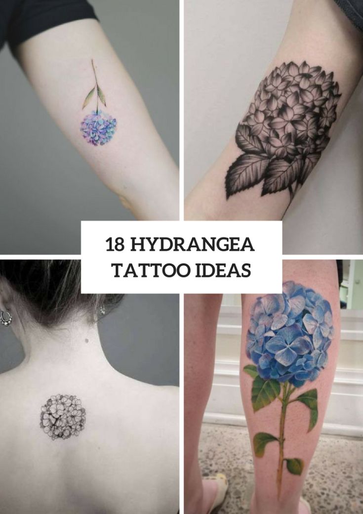 18 Hydrangea Tattoo Ideas For Romantic Ladies - Styleoholic