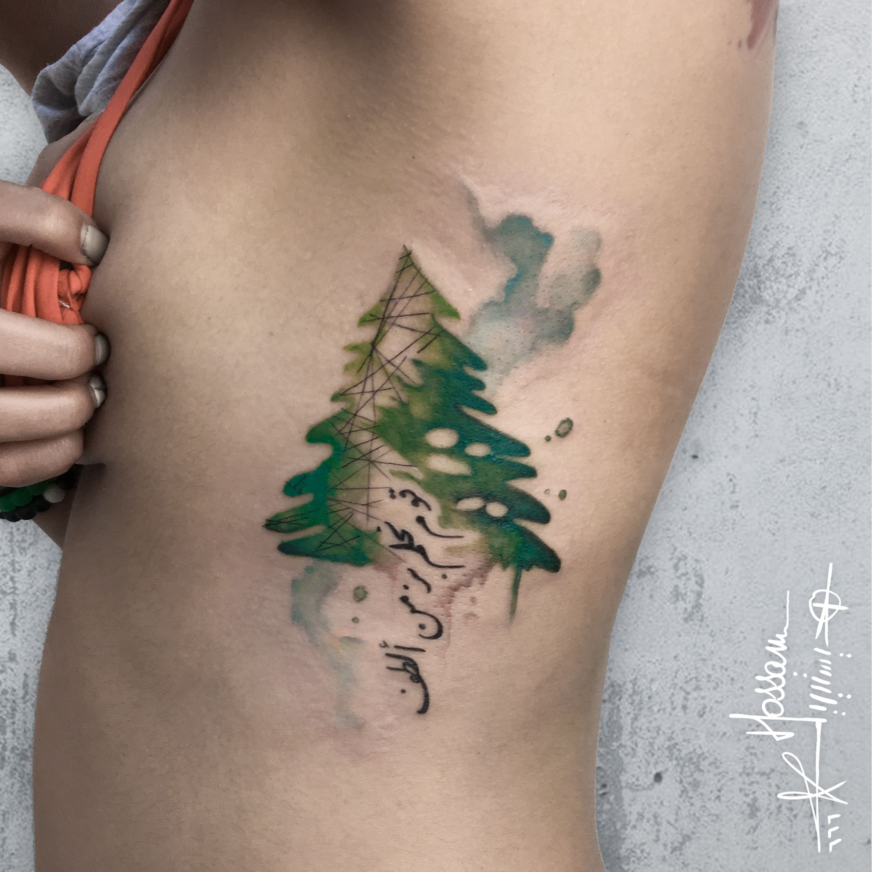 7 Best Lebanon cedar ideas | lebanon cedar, cedar trees, tree tattoo