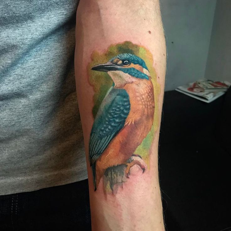 Kingfisher color tattoo