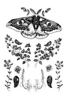 110 Best Moth Tattoo ideas | moth tattoo, tattoos, tattoo designs